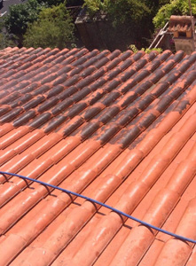Nettoyage demoussage de toiture 06
